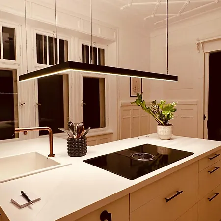 Luxurioese Altbau In Denkmal-villa *