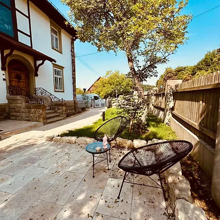 Luxurioese Altbau In Denkmal-villa *